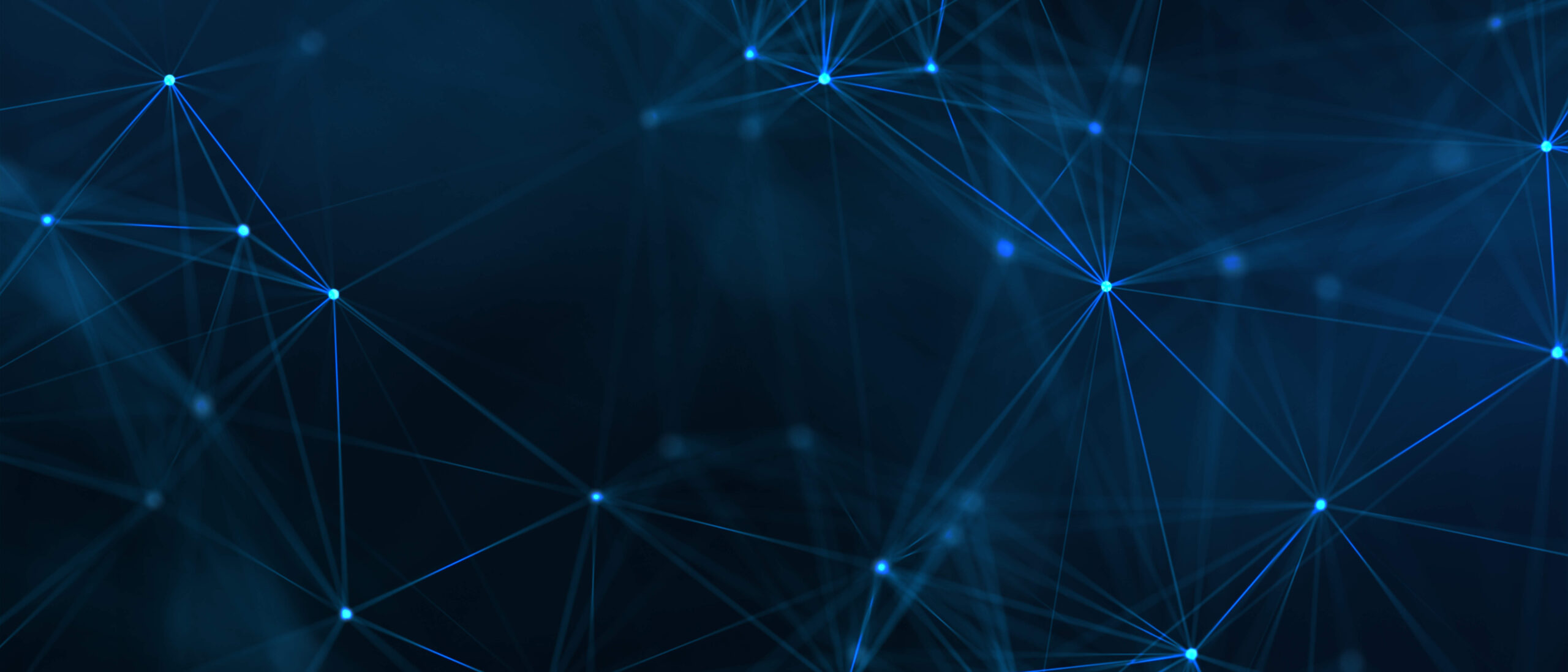 Software Entwicklung